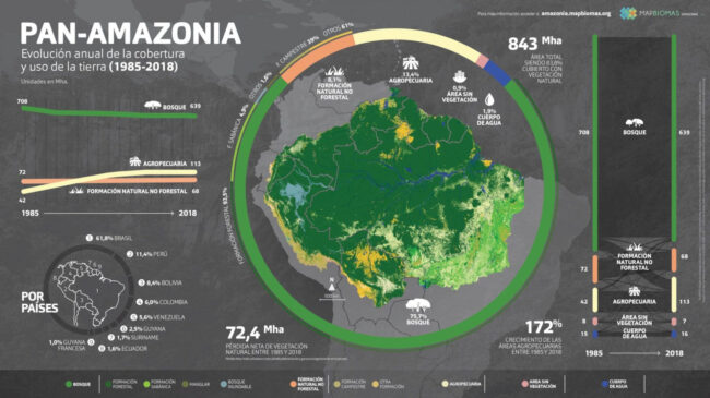 3-Infografico-MapBiomas-Amazonia-2018-scaled-1-2048×1150